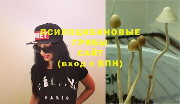 первитин Медногорск
