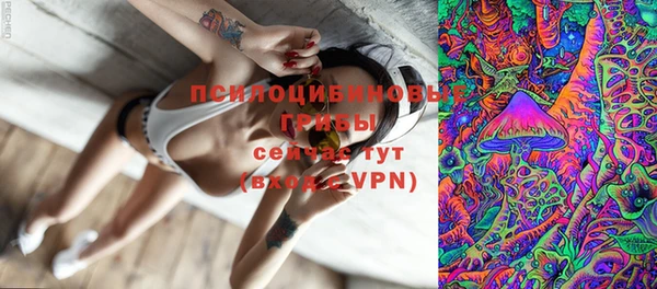 MDMA Медвежьегорск