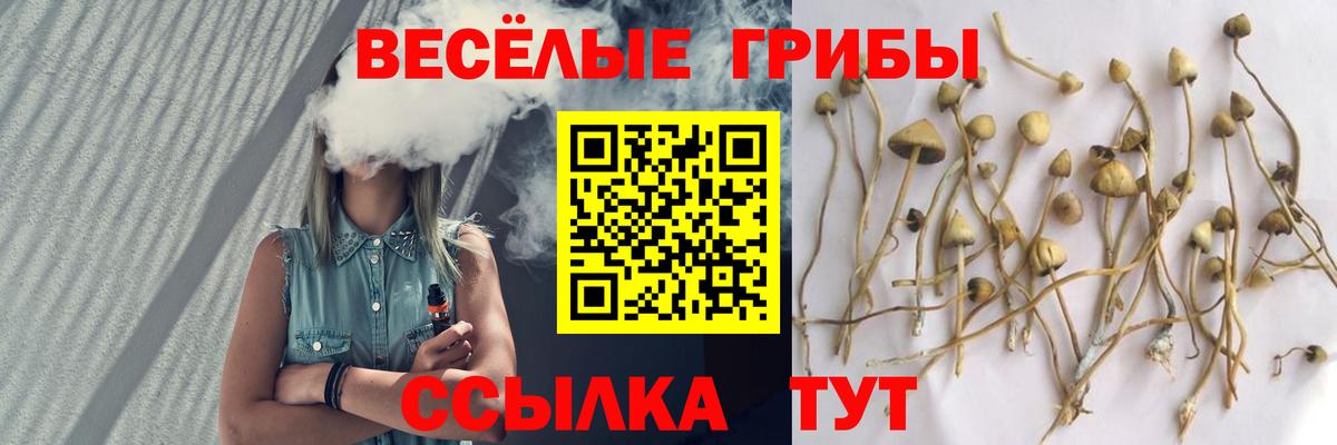 Галлюциногенные грибы GOLDEN TEACHER  Вход с VPN  продажа наркотиков  Благовещенск 