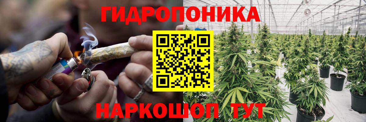 Бошки Шишки ГИДРОПОН  Марихуана марихуана  Благовещенск  Канабис индика  Вход с VPN  Шишки марихуана семена 
